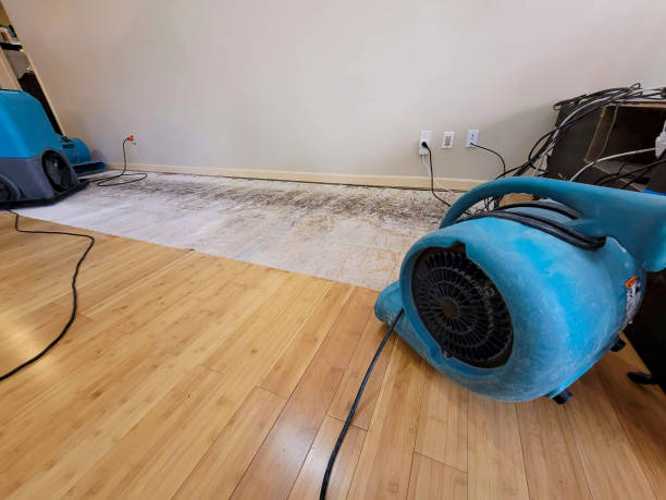 Professional Basement Flood Cleanup technician working in Centerville, SD